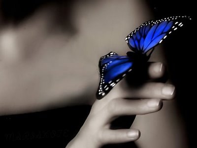 mariposa-azul1